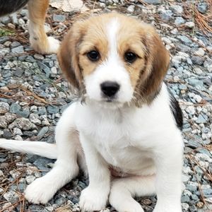 Meet your Posher, Jack